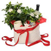 Christmas Plants & Gift Hampers
