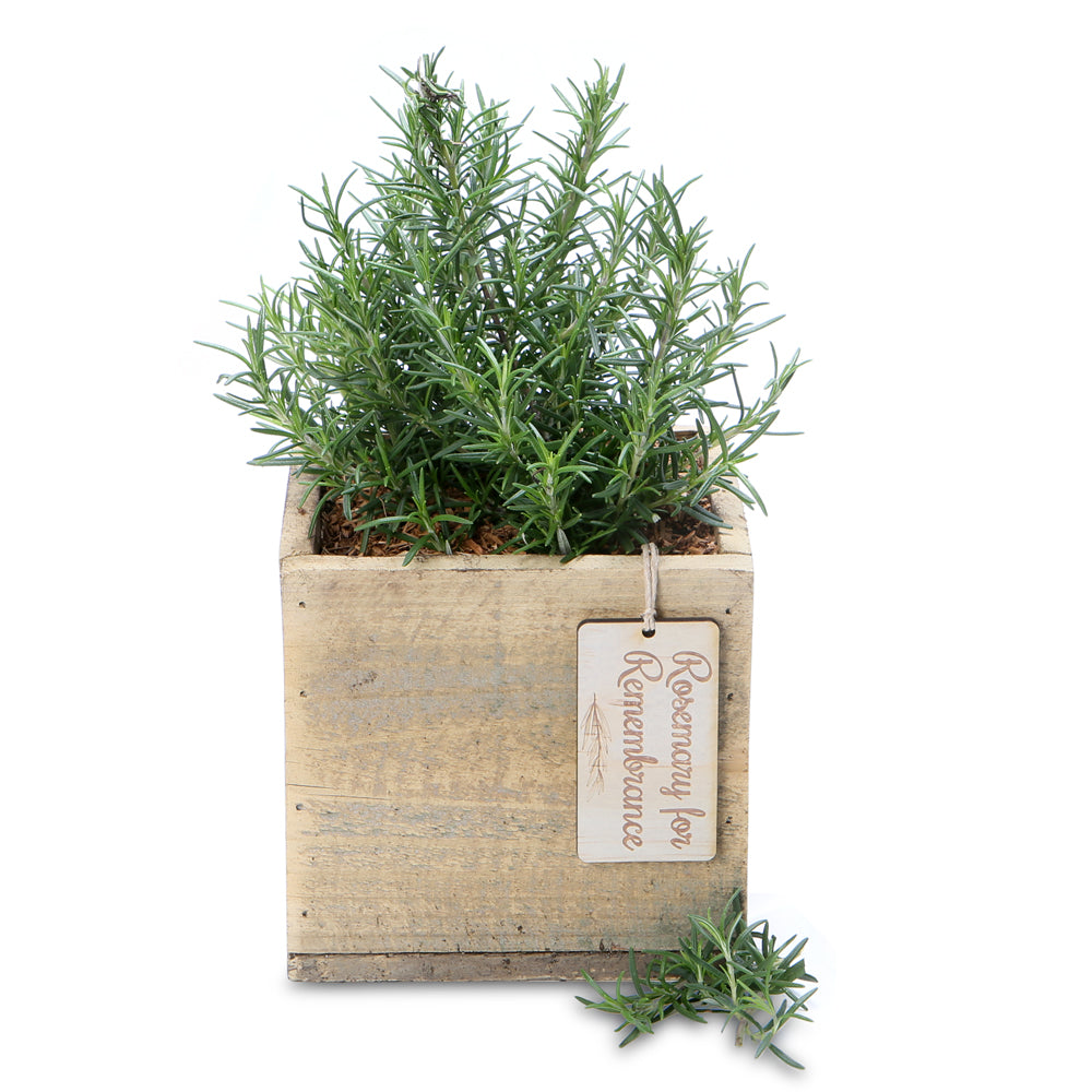 rosemary remembrance square box