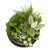 Small Eden slant terrarium