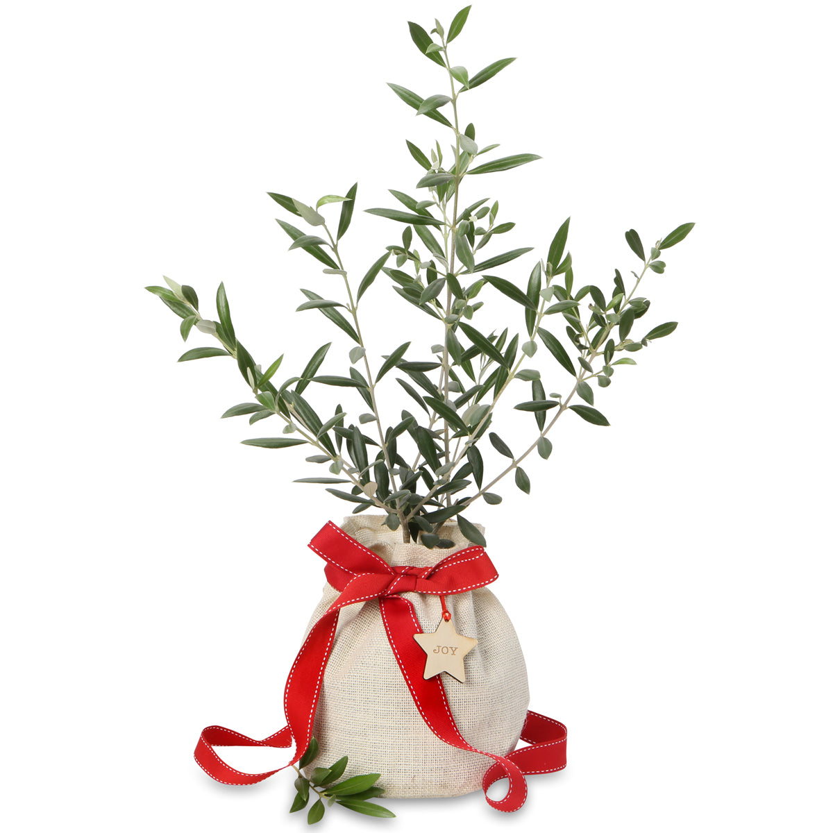 Christmas olive gift tree