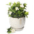 fragrant gardenia orb bowl