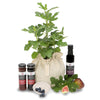 Outdoor Gourmet Plants & Herb gifts