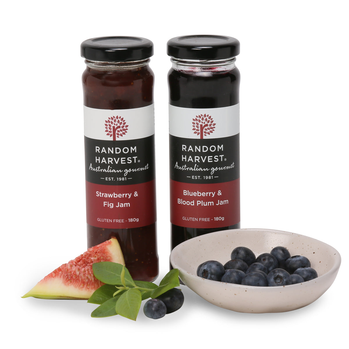 pilea peperomiodes Buddha bowl