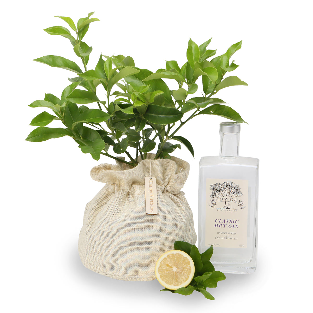 Gin Lovers lemon tree gift hamper