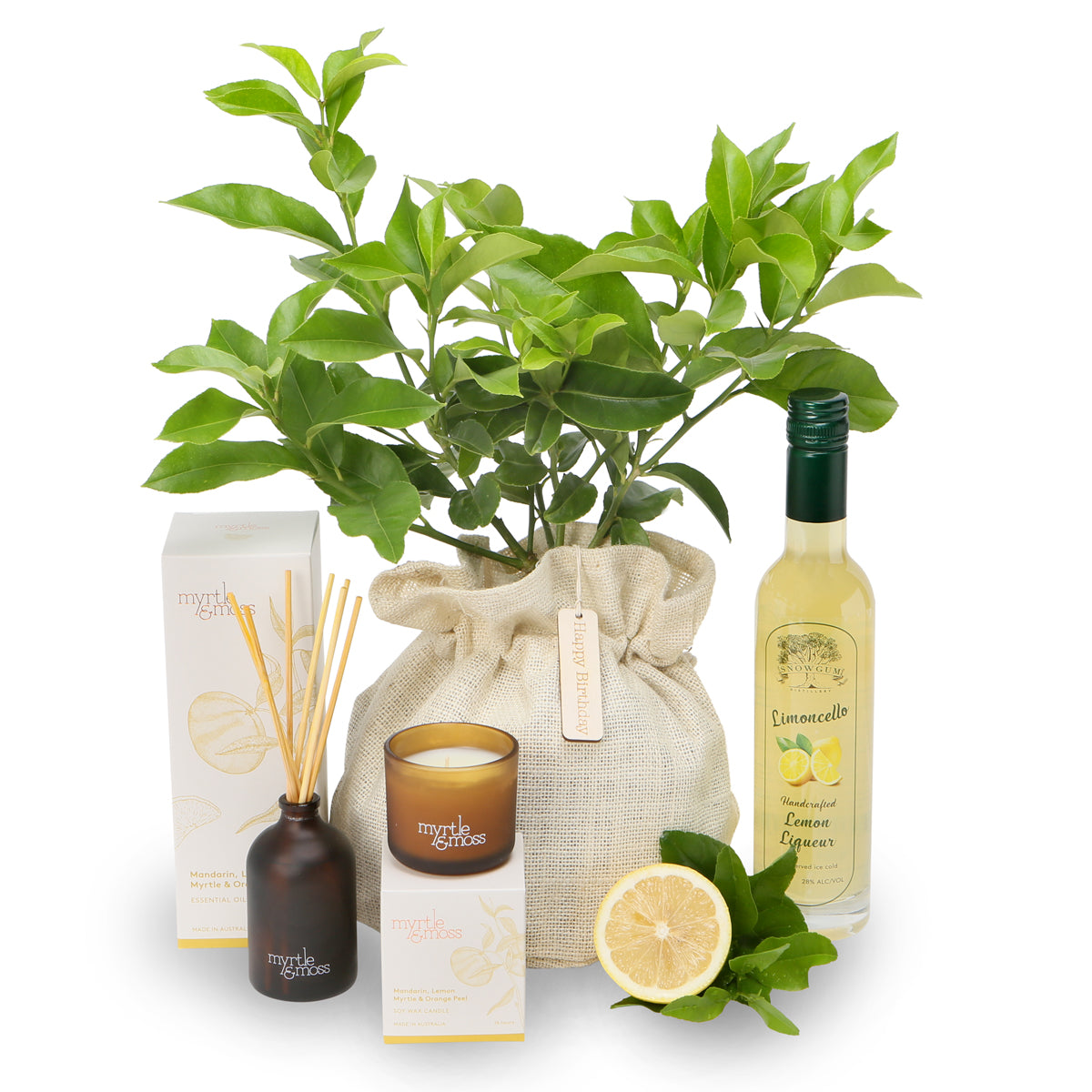 Limoncello lemonicious tree celebration hamper