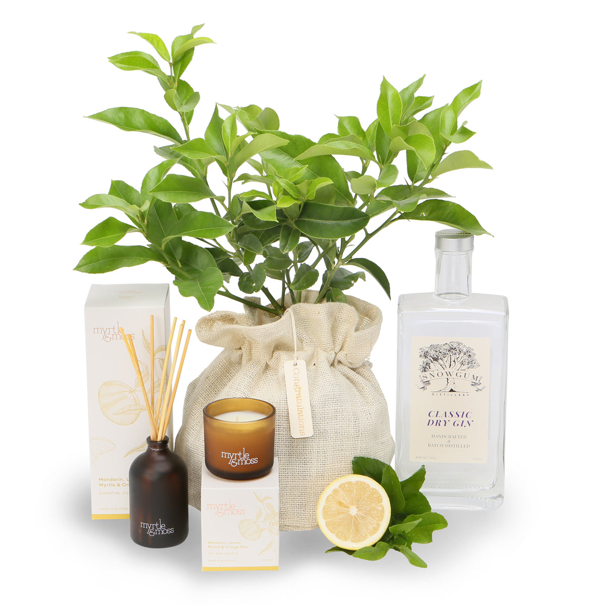 Gin Lovers lemon tree celebration hamper
