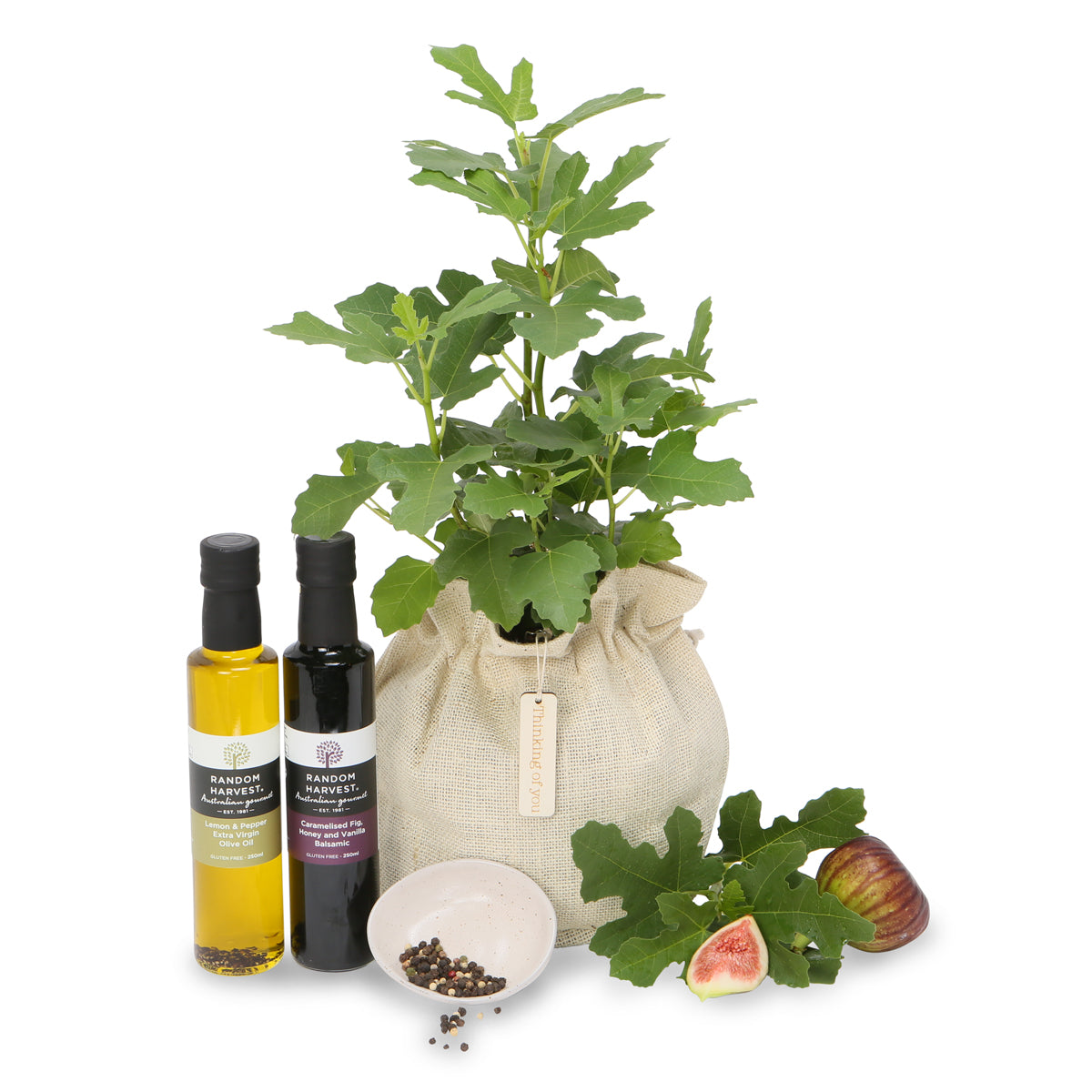 Gourmet Fig tree gift hamper ~ NEW SEason