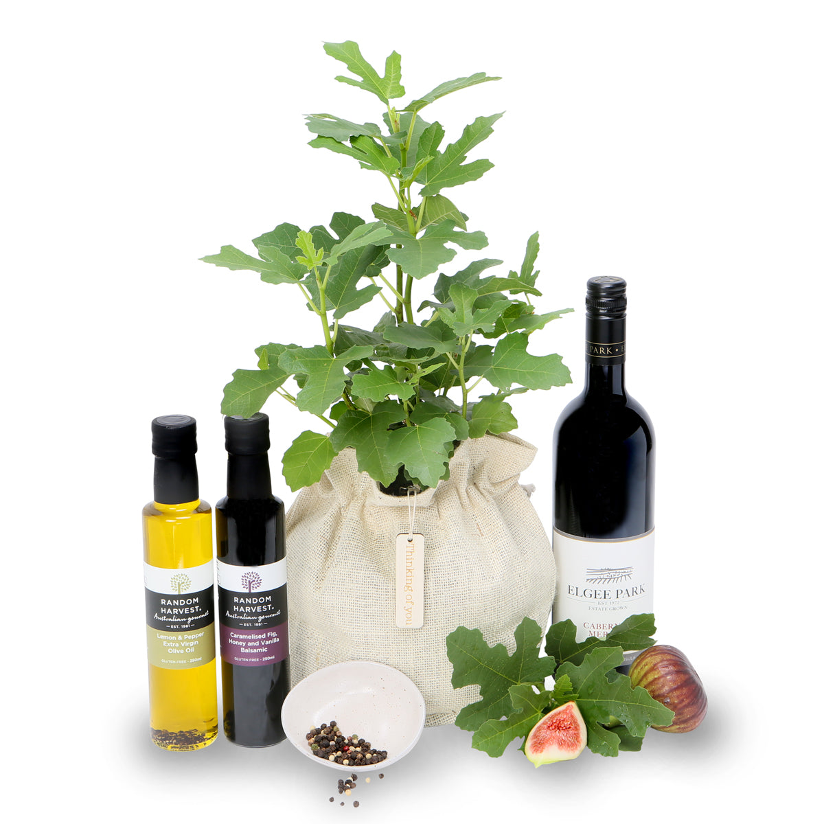 Gourmet Fig tree gift hamper ~ NEW SEason