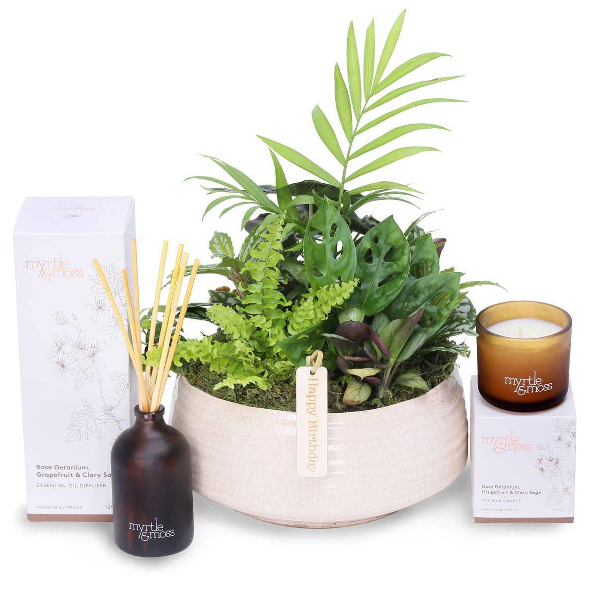 medium zen garden bowl