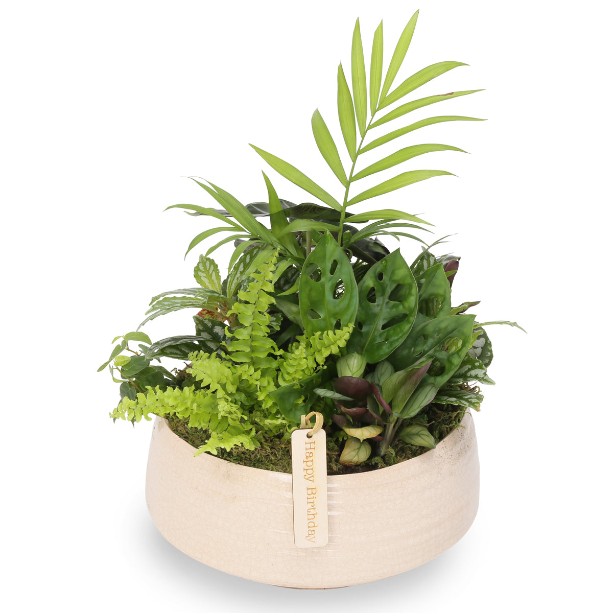 medium zen garden bowl