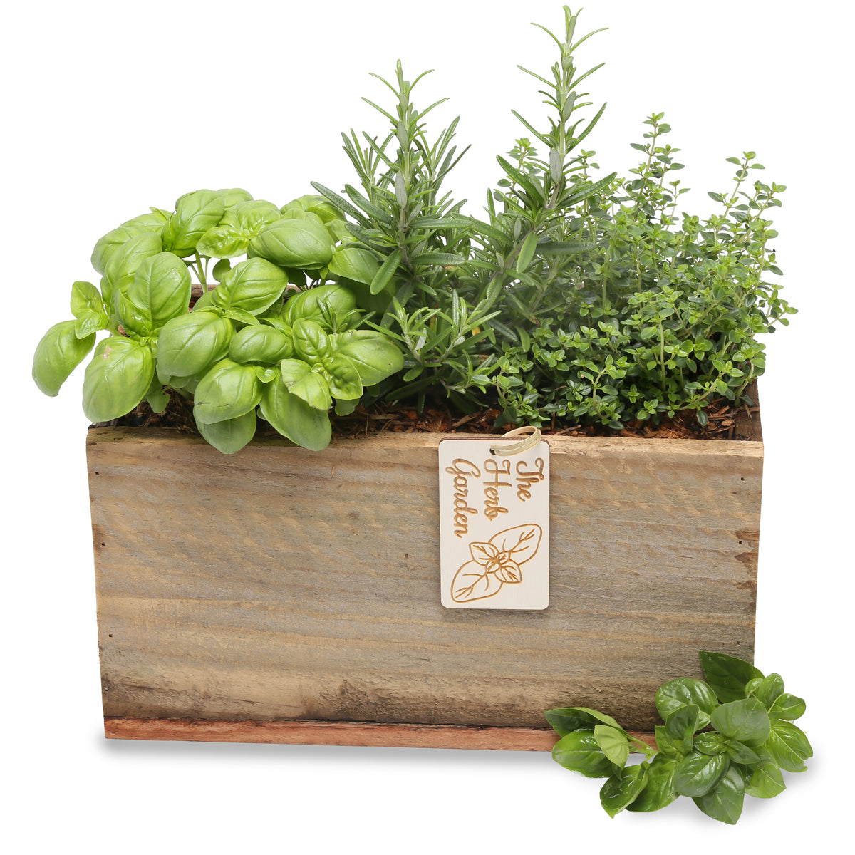 Delicious herbalicious Herb rectangle gift box
