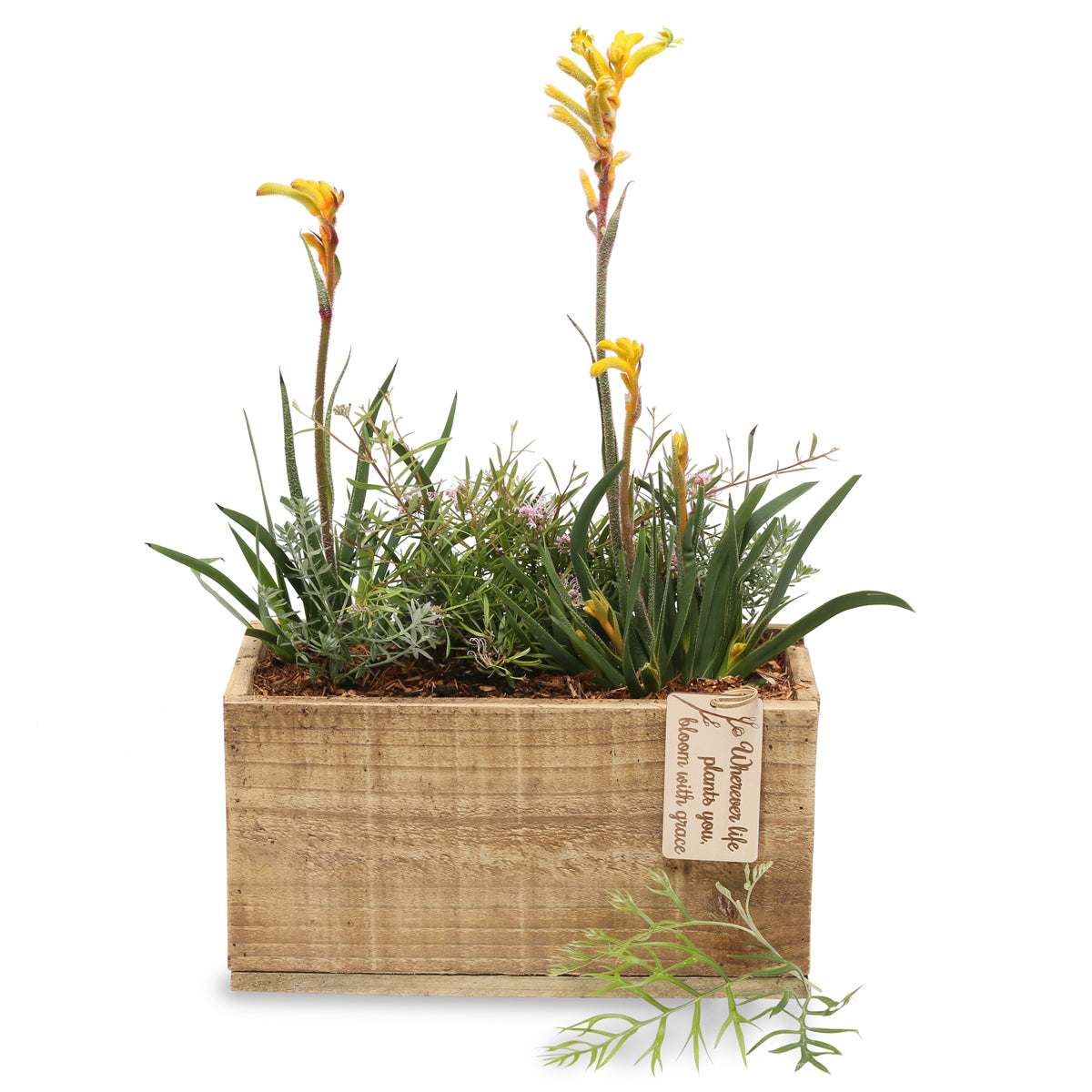 Flowering Native rectangle gift box