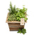 Delicious Herbalicious Herb Centerpiece Box