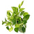 Marble Queen Buddha bowl