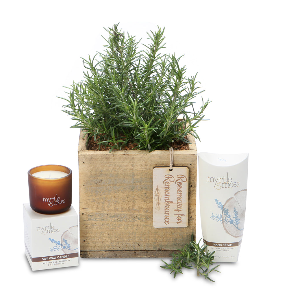 fragrant rosemary square box