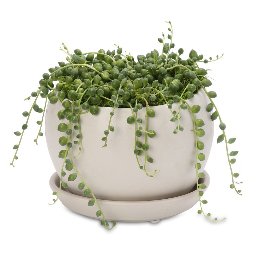 String of pearls buddha bowl