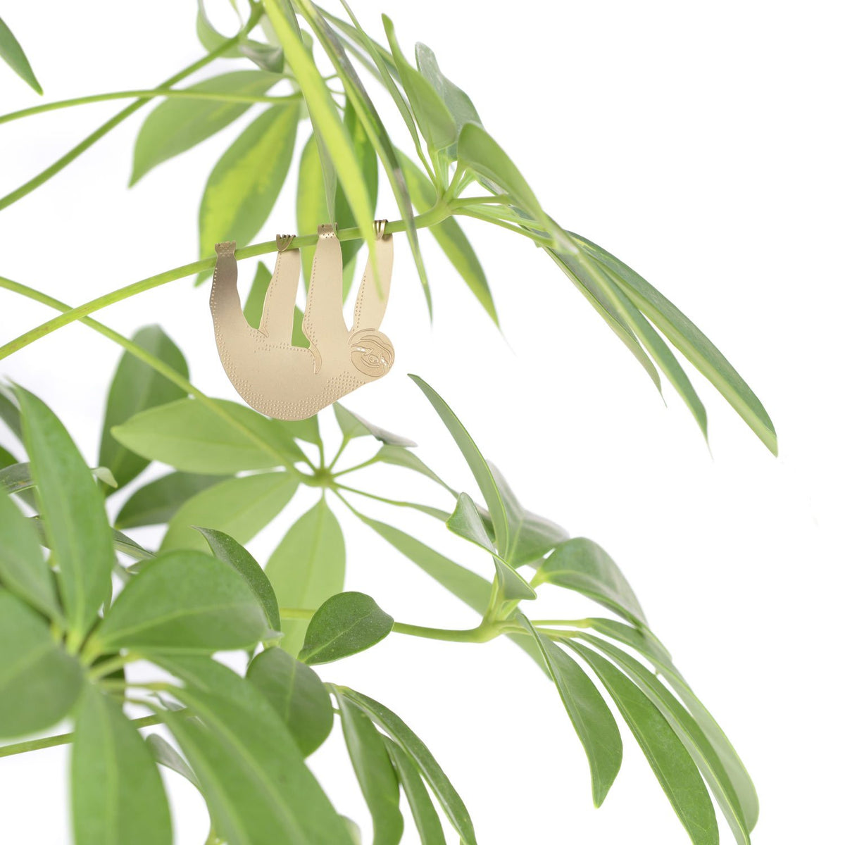 Decorative Plant Animals