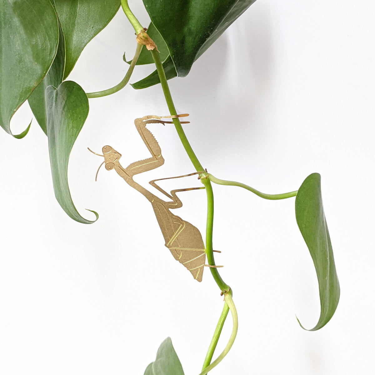 Decorative Plant Animals