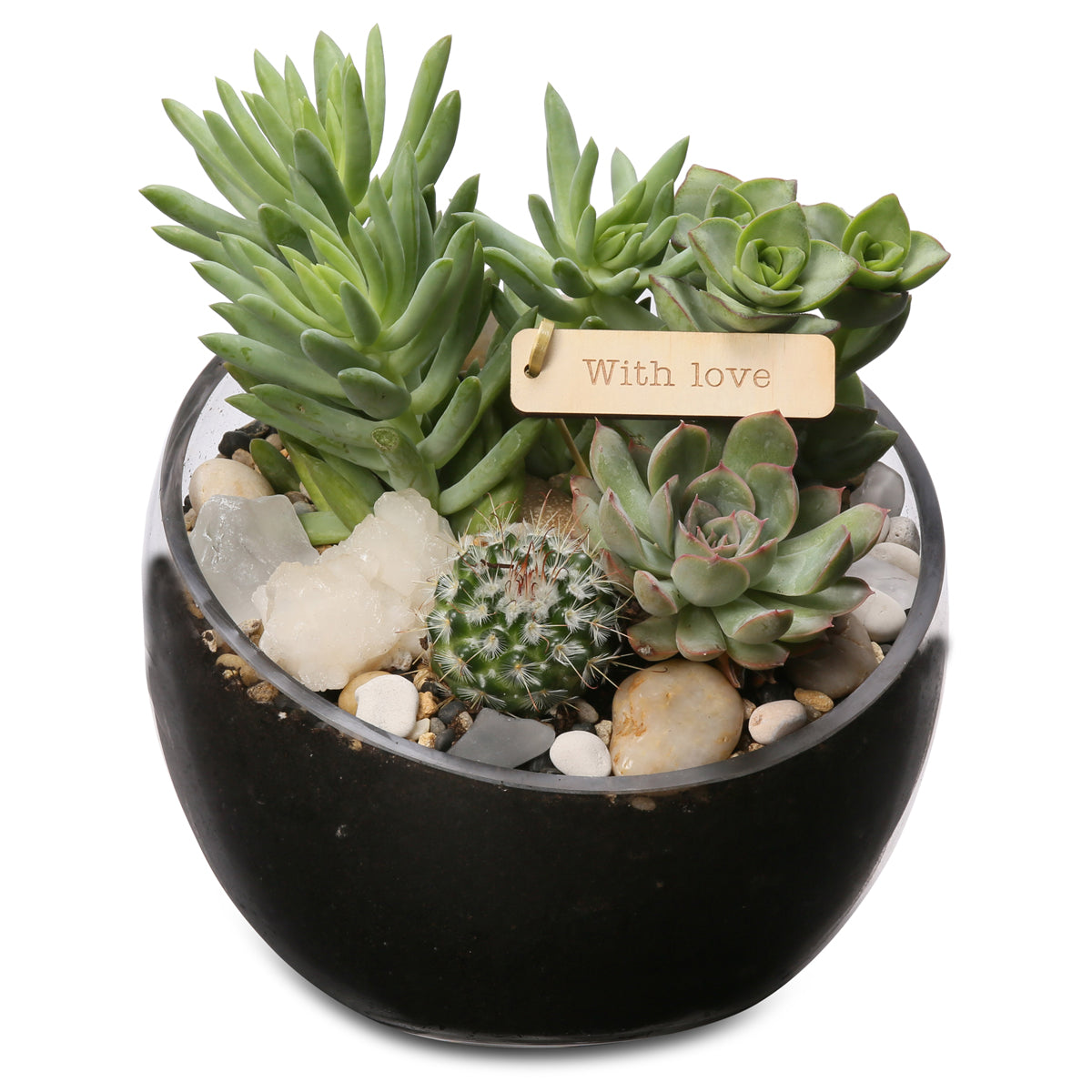small Crystalrock slant terrarium