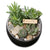 small Crystalrock slant terrarium