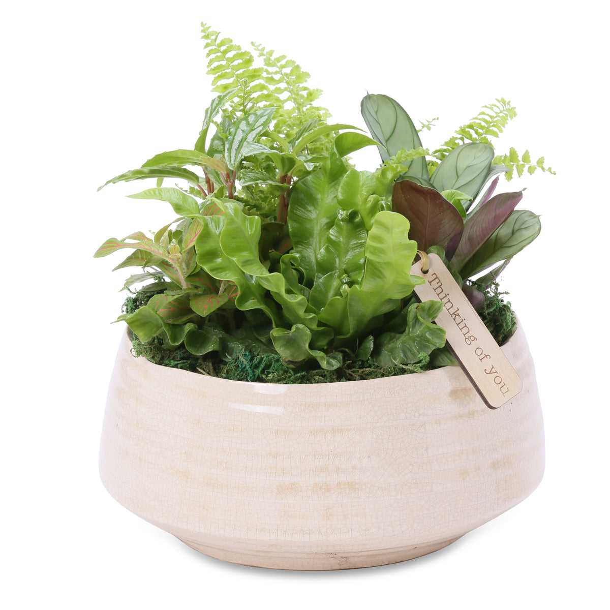 medium zen garden bowl