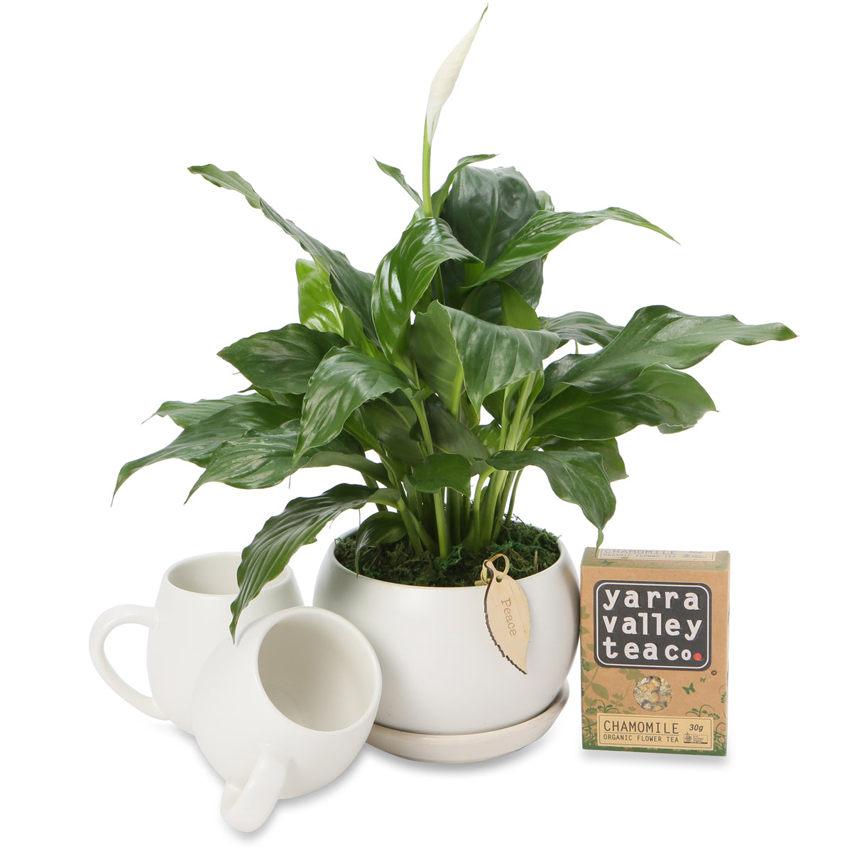 Small Peace Lily Tea Hamper