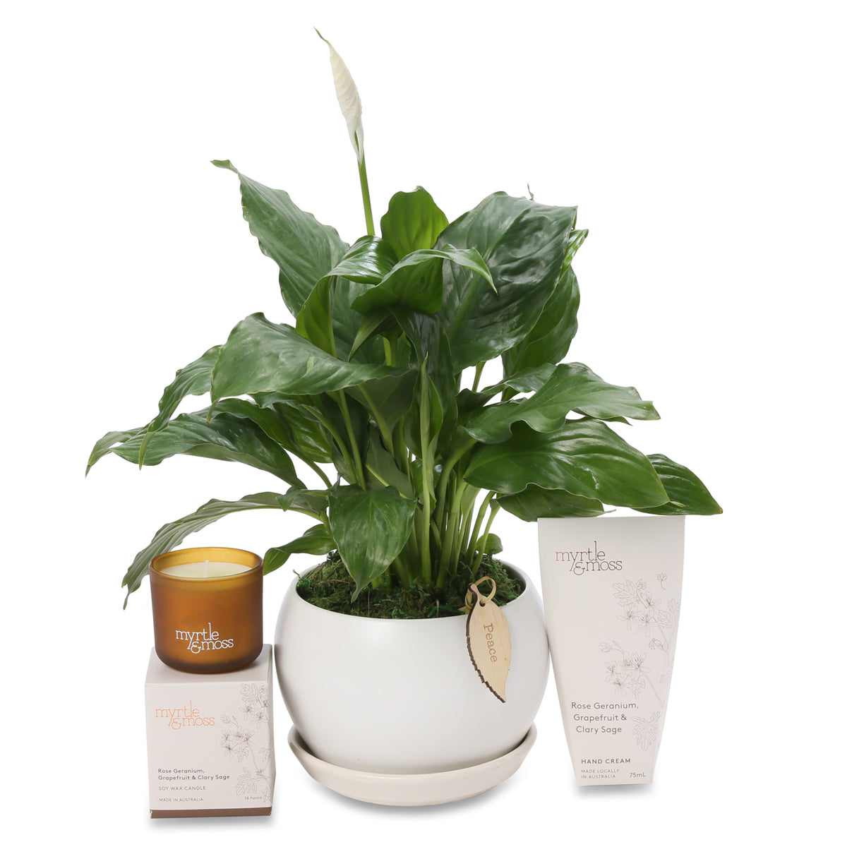 Small Peace Lily Fragrant Hamper