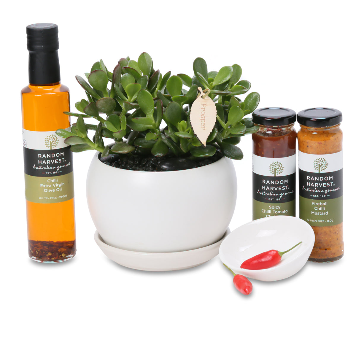 Lucky Moneytree gourmet gift