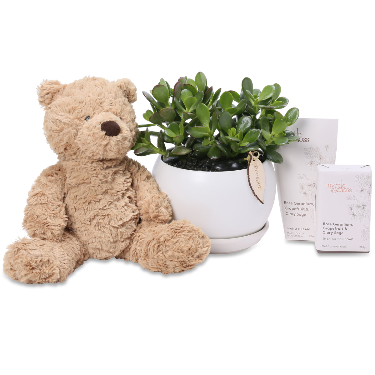 lucky money tree baby gift hamper