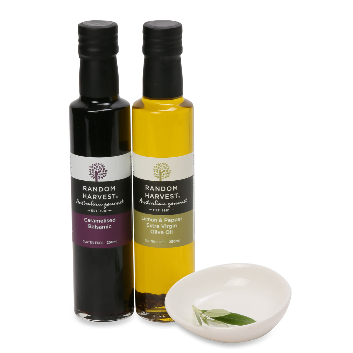 medium zen garden bowl