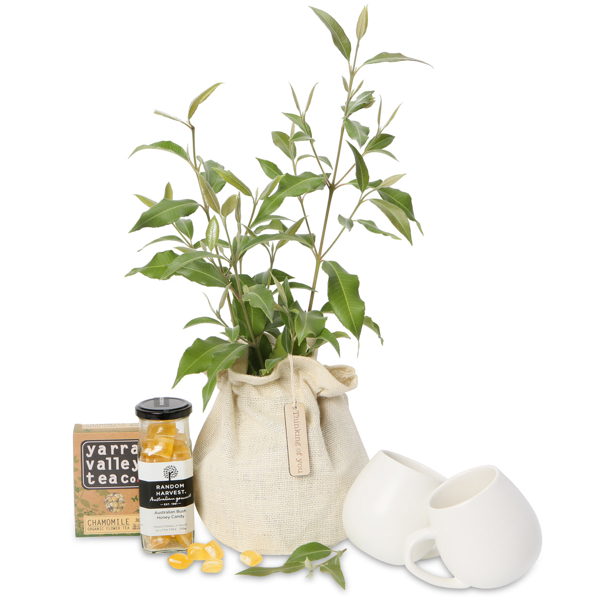 native tree tea gift hamper