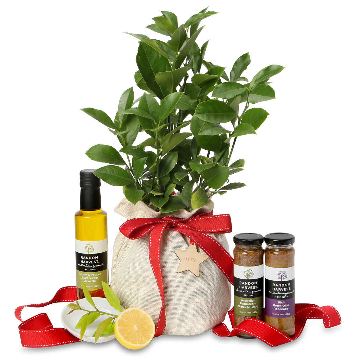 Christmas dwarf luscious lemon gourmet gift hamper
