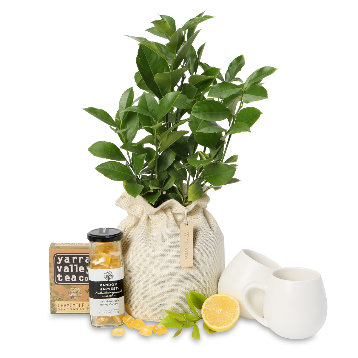 luscious lemonicious lemon tree tea hamper