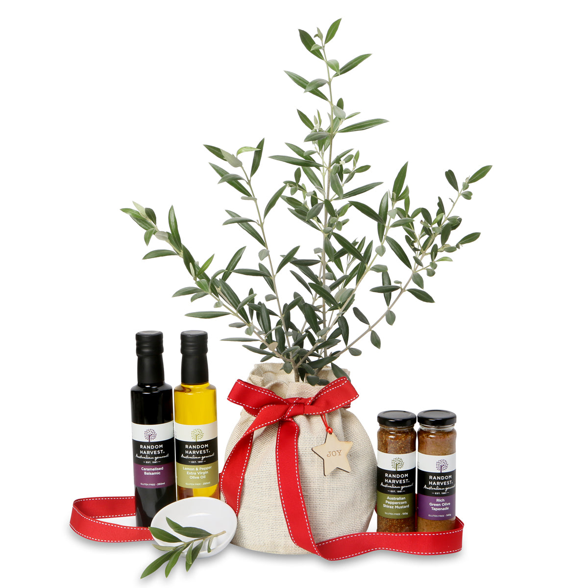 Christmas olive tree peace gifts