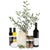 olive tree peace gifts