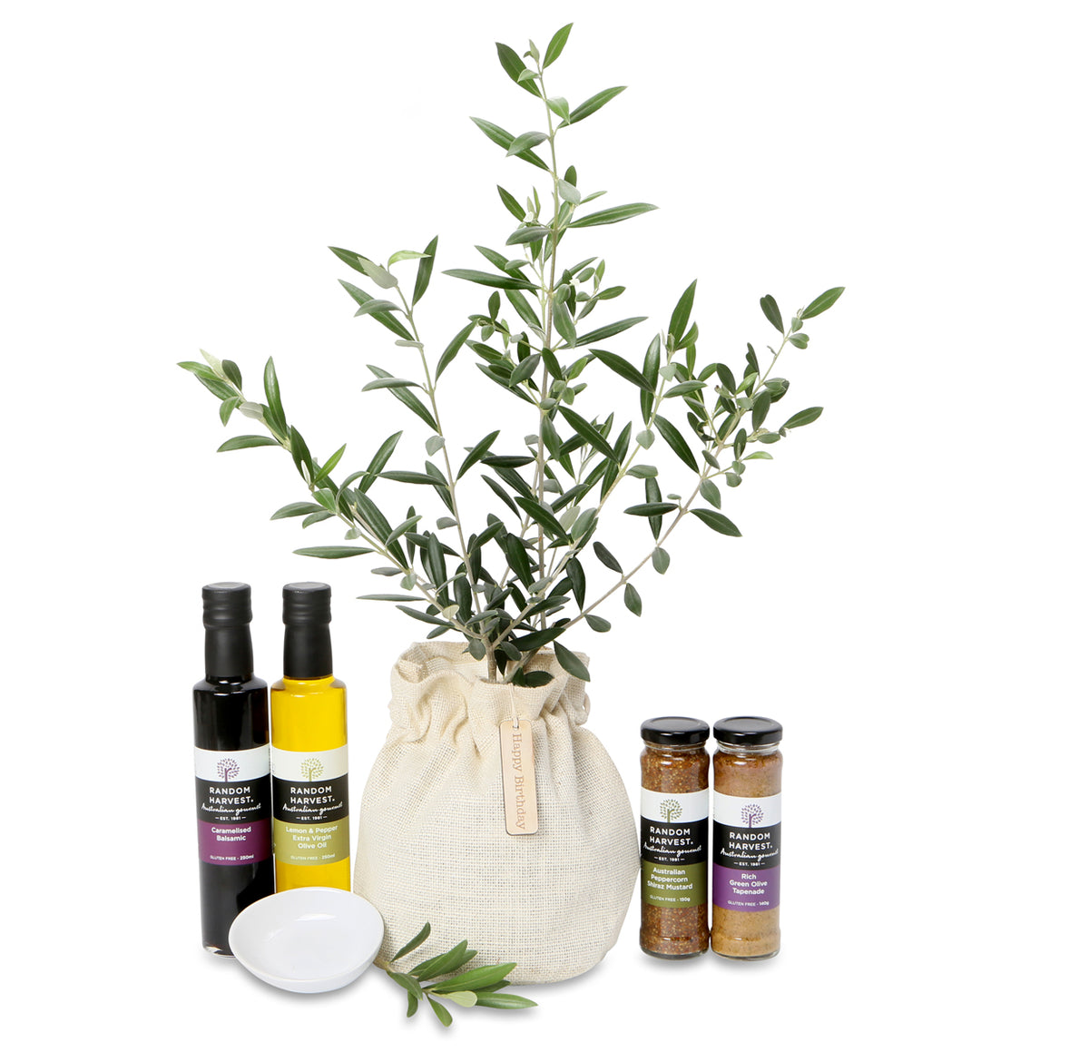 olive tree peace gifts