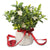 fragrant gardenia christmas gift